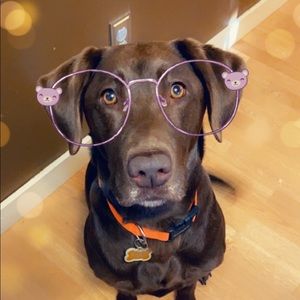 Meet your Posher, Sara